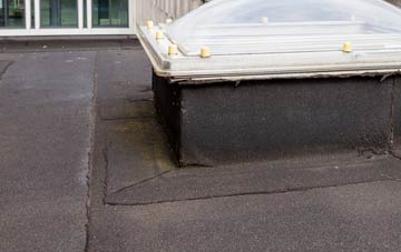 disadvantages of Saltwood flat roofs